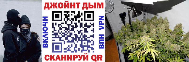 Где найти наркотики Цоци-Юрт Псилоцибиновые грибы  Мефедрон  ГАШ  ссылка на мегу зеркало  Cocaine 